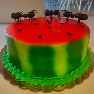 A cake decorated as a watermelon slice with chocolate ants walking across the top
