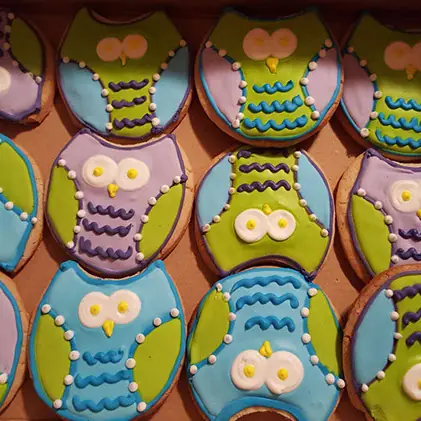 Owl cookies