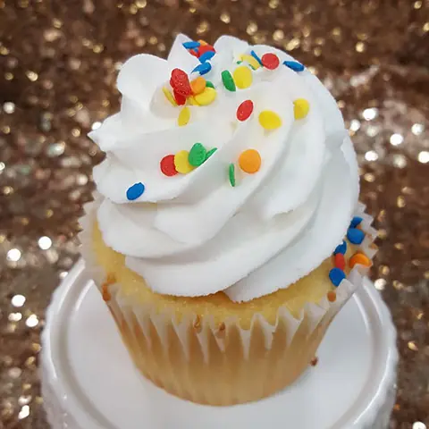 A vanilla cupcake with rainbow sprinkles