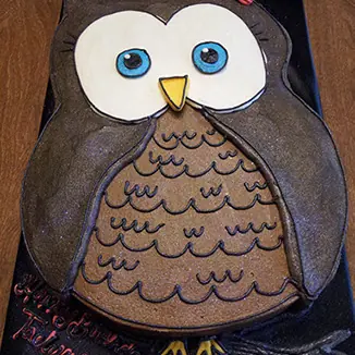 A brown owl cake